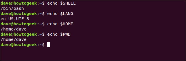 echo $ SHELL em uma janela de terminal