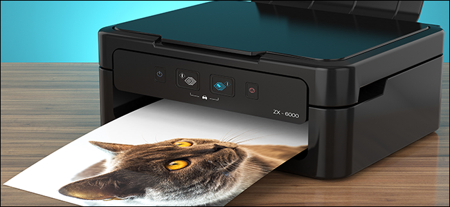 foto de um gato saindo de uma impressora jato de tinta