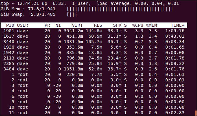 topo mostrando gráficos ASCII para as estatísticas de memória, em uma janela de terminal.