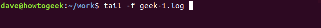 tail -f geek-1.log em uma janela de terminal