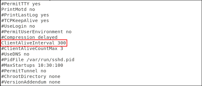 editor gedit com o arquivo de configuração SSH carregado e edições destacadas