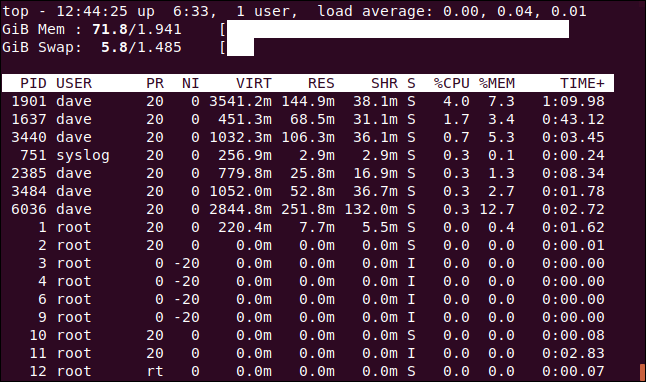 topo mostrando gráficos de bloco ASCII para as estatísticas de memória, em uma janela de terminal.