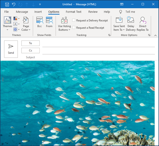 Um e-mail do Outlook com uma imagem subaquática de peixes tropicais como plano de fundo.