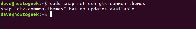 O comando "sudo snap refresh gtk-common-themes" em uma janela de terminal.