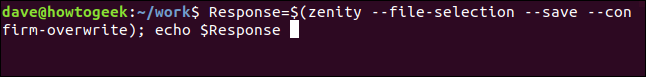 "Resposta = $ (zenity --file-selection --save --confirm-overwrite); echo $ Response" em uma janela de terminal.