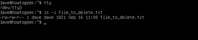 ls -l file_to_delete.txt em uma janela de terminal