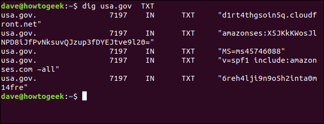 O comando "dig usa.gov TXT" em uma janela de terminal.