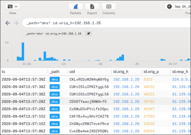 Uma tela de resumo filtrada por tipo de fluxo e endereço IP.