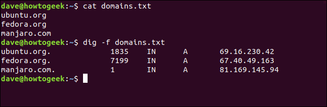 Os comandos "cat domains.txt" e "dig -f domains.txt" em uma janela de terminal.