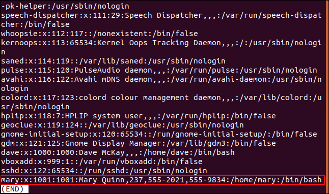 O conteúdo do arquivo passwd exibido em less em uma janela de terminal.