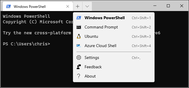 Opções da nova guia no Terminal Windows.