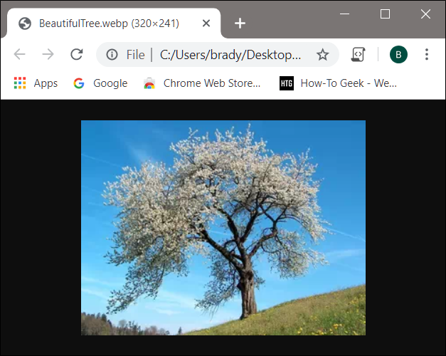 A imagem WebP abre diretamente dentro do Chrome quando clicada