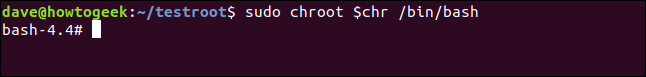 Ambiente chroot ativo em uma janela de terminal