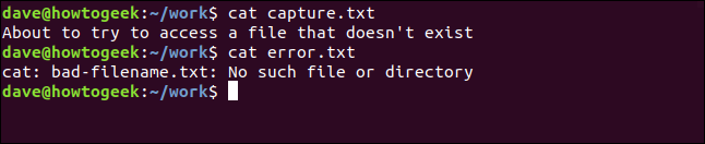 conteúdo de capture.txt e error.txt em uma janela de terminal