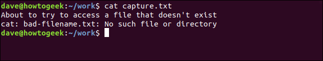 conteúdo de capture.txt em uma janela de terminal