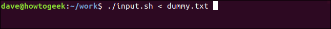 ./input.sh <dummy.txt em uma janela de terminal