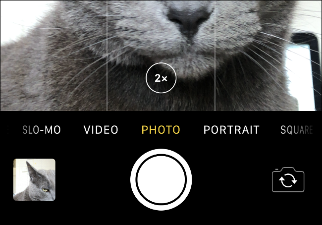 O controle de zoom "2x" em uma imagem de um gato cinza no aplicativo de câmera do iPhone.