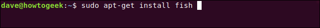 sudo apt-get install fish em uma janela de terminal.