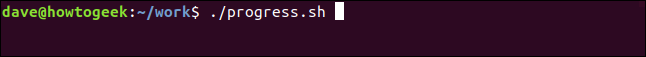 "./progress.sh" em uma janela de terminal.