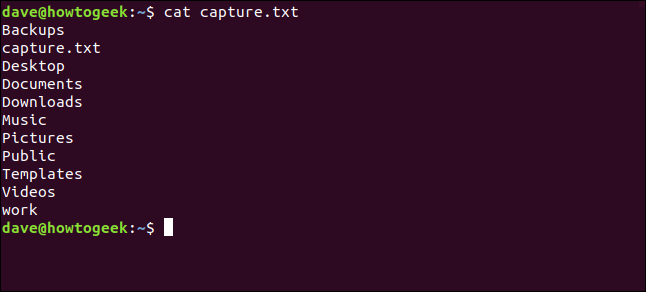 cat capture.txt em uma janela de terminal