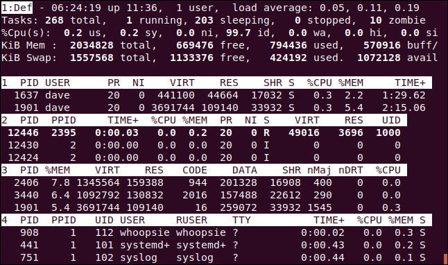 topo com a exibição alternativa ativada em uma janela de terminal.