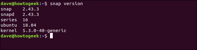 O comando "versão instantânea" em uma janela de terminal.