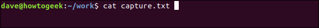 cat capture.txt em uma janela de terminal