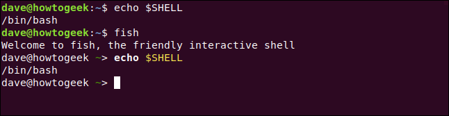 echo $ SHELL em uma janela de terminal.