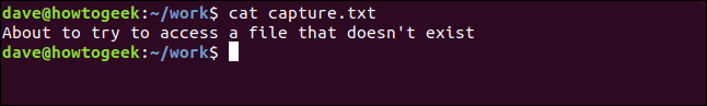 conteúdo de capture.txt em uma janela de terminal