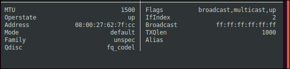 Os painéis de informações adicionais bmon em uma janela de terminal.