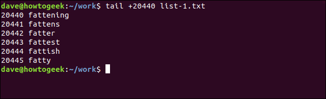 tail +20440 list-1.txt em uma janela de terminal