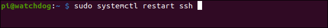 sudo systemctl restart ssh em uma janela de terminal.