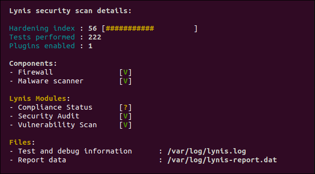 Tela de resumo do relatório de auditoria do Lynis em uma janela de terminal.