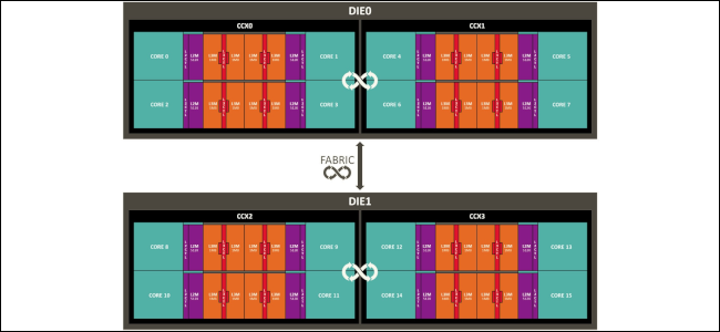 Um gráfico que mostra vários AMD CCXs conectados em matrizes completas.