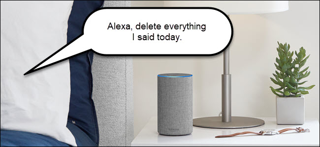Amazon echo com balão de fala dizendo "Alexa delete tudo que eu disse hoje."