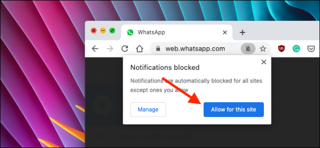Permitir notificações para WhatsApp Web