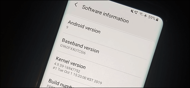 O menu de informações do software em um Samsung Galaxy S9 executando o Android 9