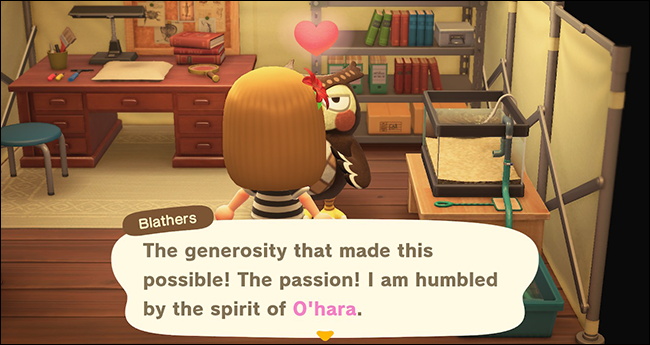 Animal Crossing New Horizons Blathers