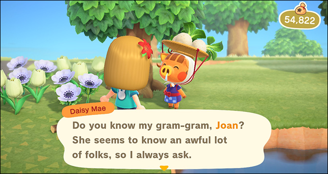 Animal Crossing New Horizons Daisy Mae