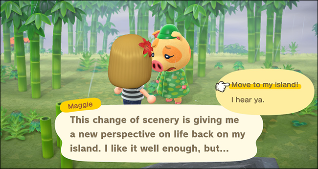 Animal Crossing New Horizons maggie