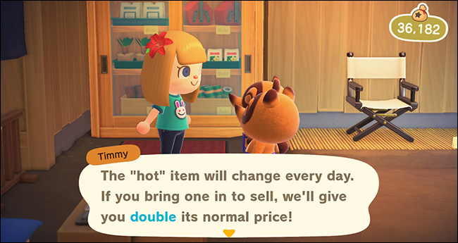 Animal Crossing New Horizons nook cranny_2