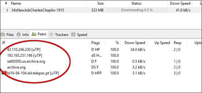 Endereços IP em BitTorrent