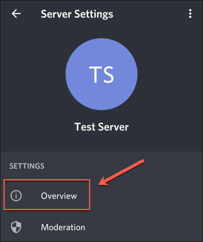 Toque em "Visão geral" no menu "Configurações do servidor" do Discord.