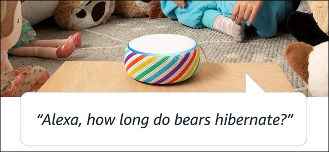 Uma edição Echo Kid's no quarto de uma criança, com a pergunta "Por quanto tempo os ursos hibernam?"