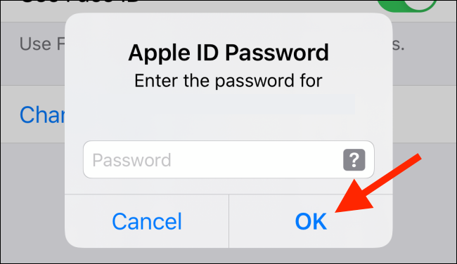 Digite sua senha Apple ID no iPhone e toque em OK
