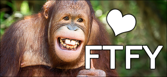 Um macaco fofo com a frase "FTFY" e um coração flutuando ao lado de sua cabeça. 