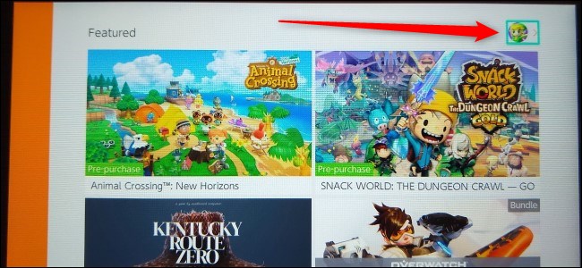 Nintendo eShop Picture