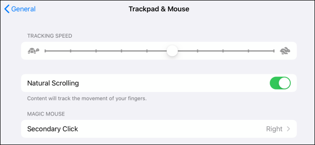 Personalização do mouse no iPadOS