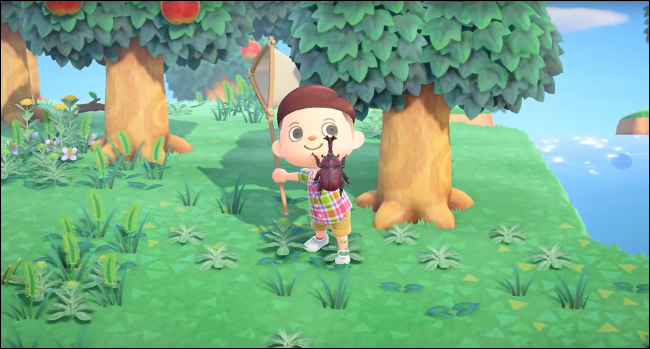 Coletando insetos no jogo Animal Crossing: New Horizons