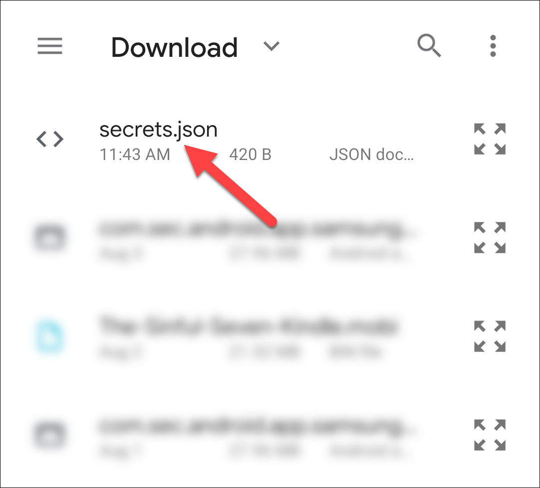 Selecione "secrets.json" na pasta "Download".